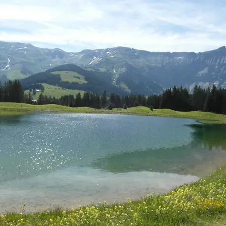 Apartment Megeve *